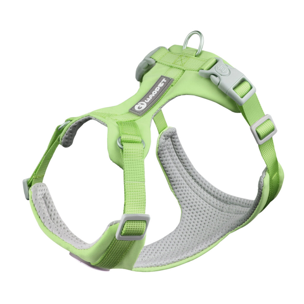 Lightweight Harness for Everyday Walks