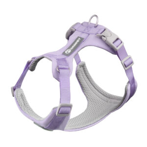 Lightweight Harness for Everyday Walks