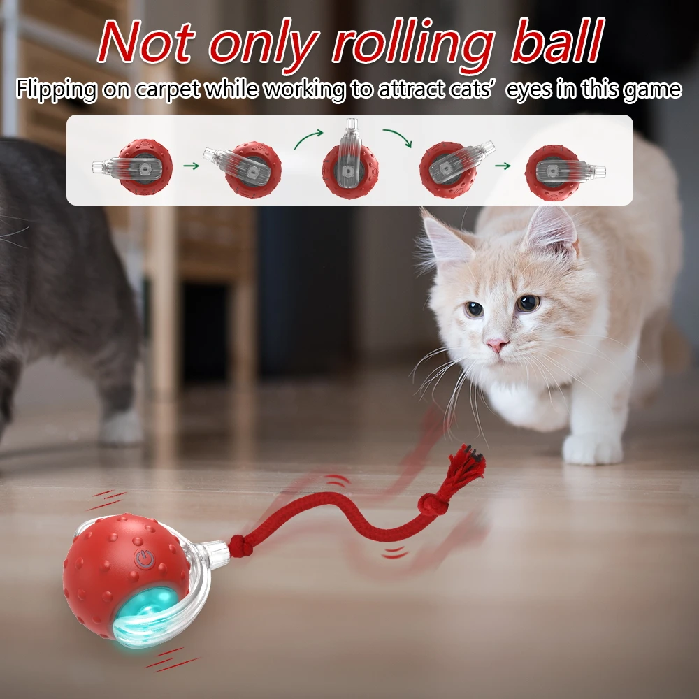 Motion Play Ball for Curious Cats - Image 4