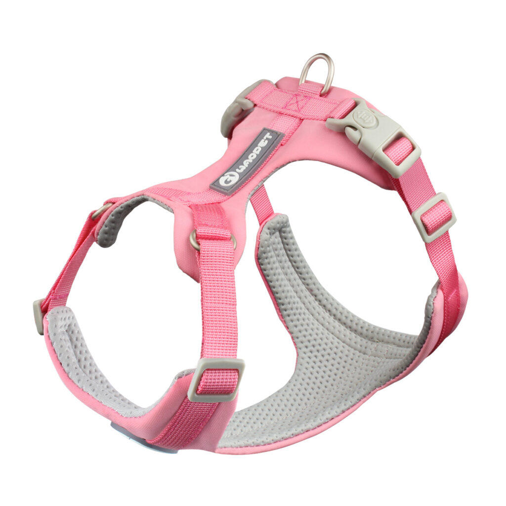 Lightweight Harness for Everyday Walks