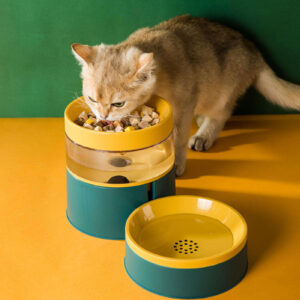 Elevated Feeding Bowl with Water Dispenser