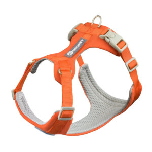 Lightweight Harness for Everyday Walks