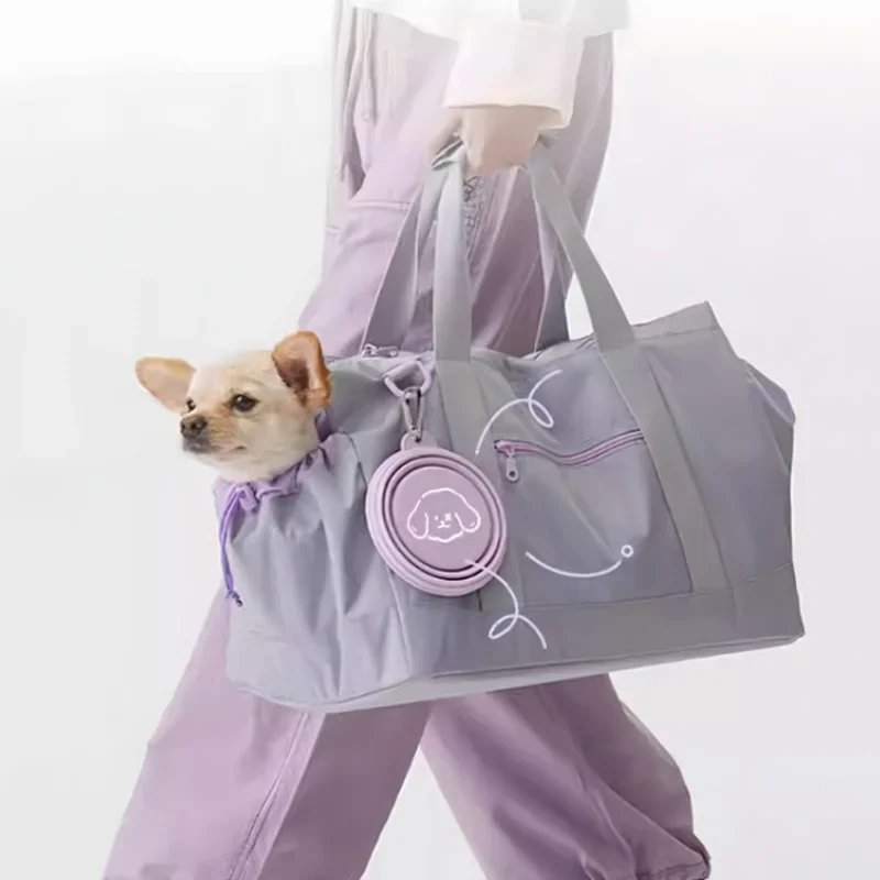 Foldable Feeding Bowl for Travel - Image 3