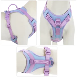 Cushioned Dog Harness - Image 2