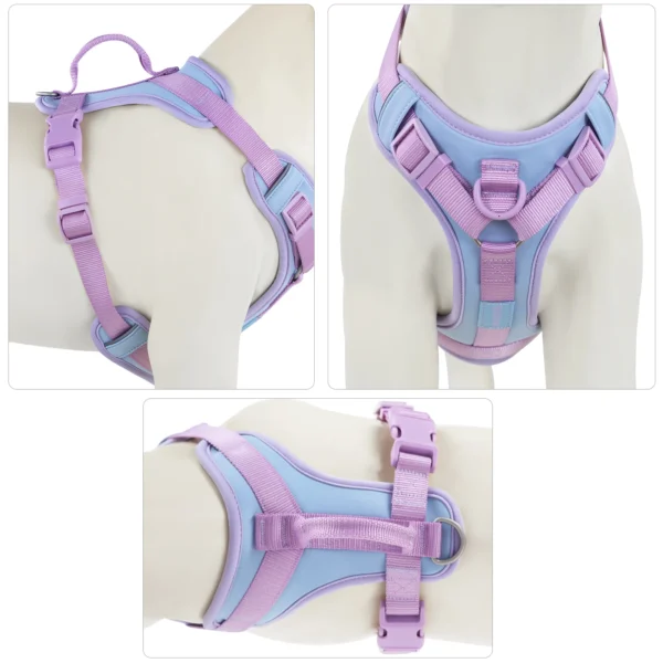 Cushioned Dog Harness