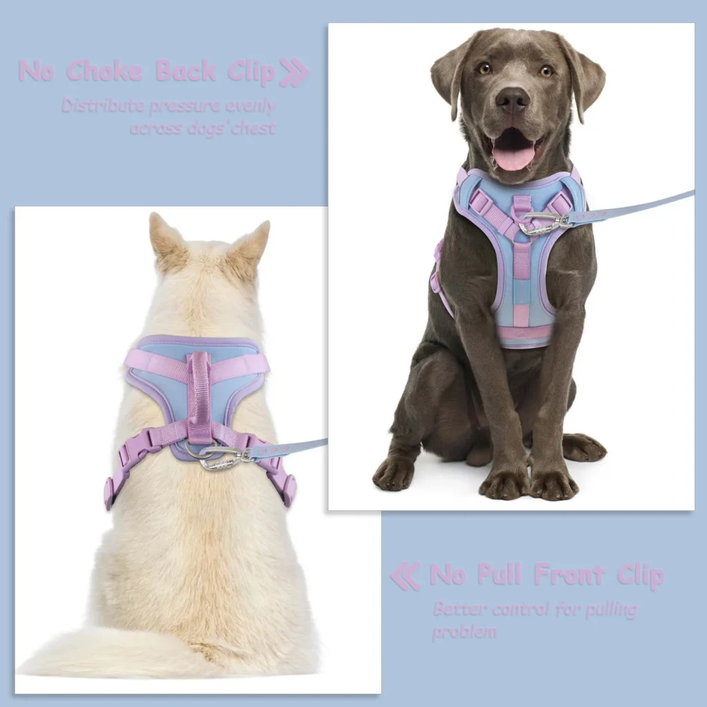 Cushioned Dog Harness