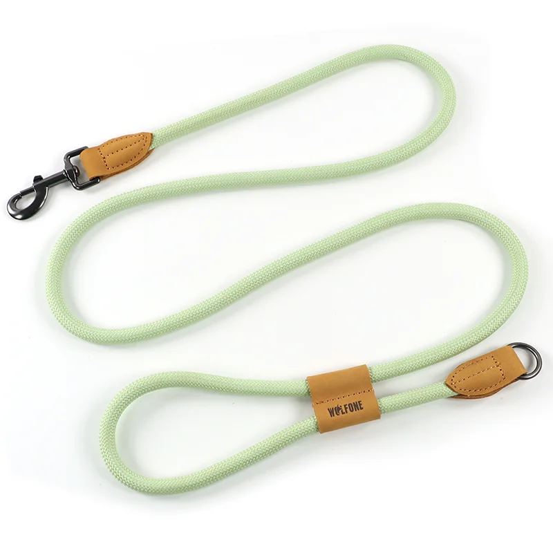Sky green leash