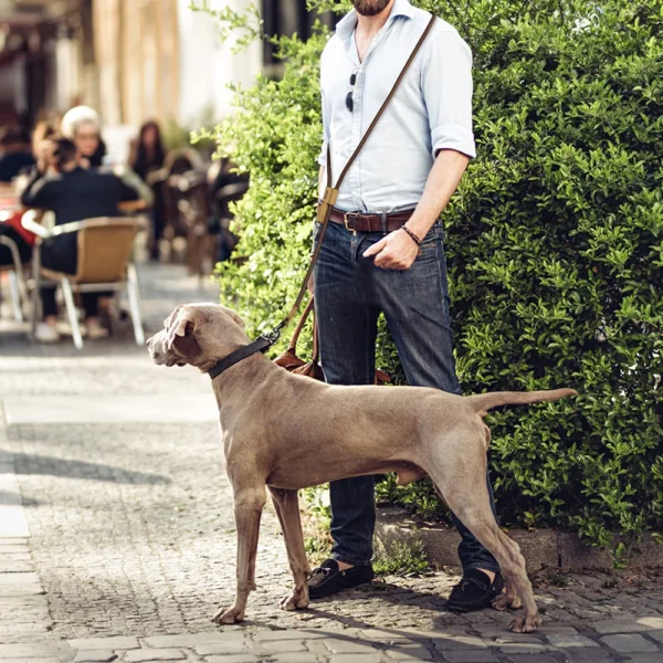 Hands-Free Rope Dog Leash for Walks