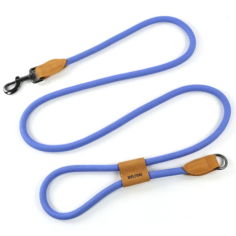Blue leash