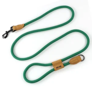 Green leash