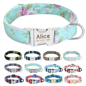The Personalized Print Collar