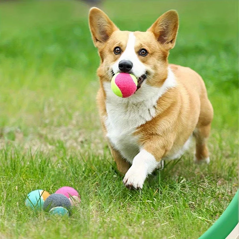 Dental-Grip Tennis Balls - Image 2