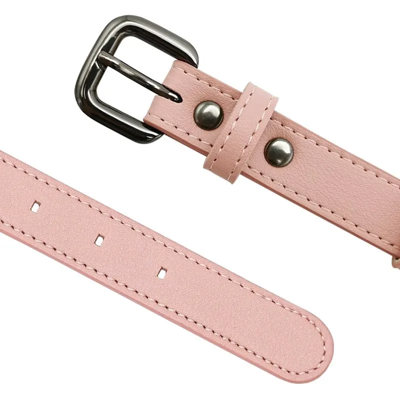 AirTag Collar